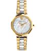 uploads/images/versace-idyia-two-tone-ladies-watch-36mm.png